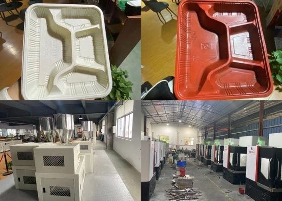 पीवीसी ब्लिस्टर बनाने की मशीन बायोडिग्रेडेबल टेबलवेयर प्रोडक्शन लाइन
